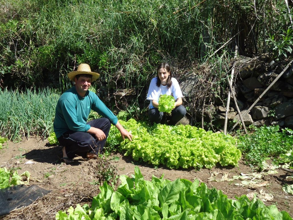 Programa  Incentiva Jovens do Meio Rural