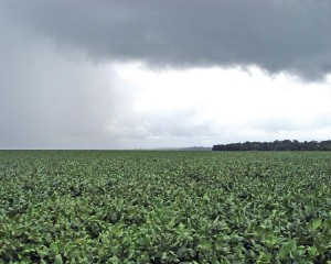 chuva e diminuição das temperaturas para final de janeiro e início de fevereiro