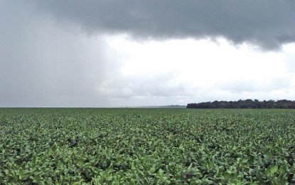 chuva e diminuição das temperaturas para final de janeiro e início de fevereiro