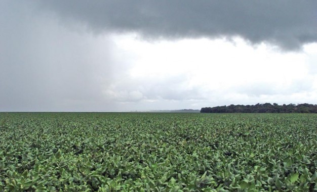 chuva e diminuição das temperaturas para final de janeiro e início de fevereiro