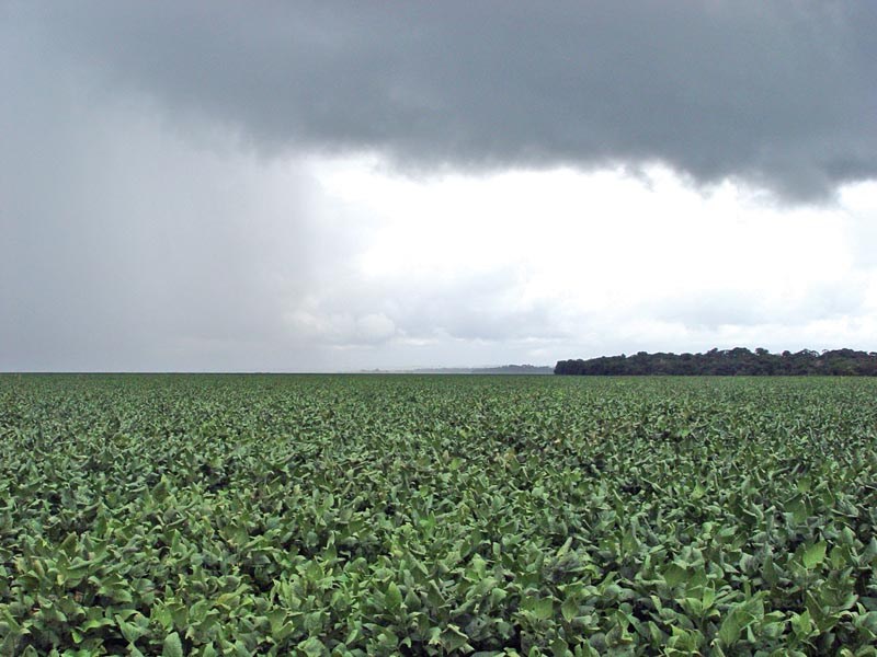 chuva e diminuição das temperaturas para final de janeiro e início de fevereiro