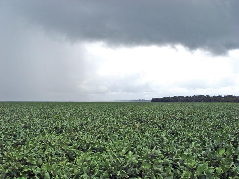 chuva e diminuição das temperaturas para final de janeiro e início de fevereiro