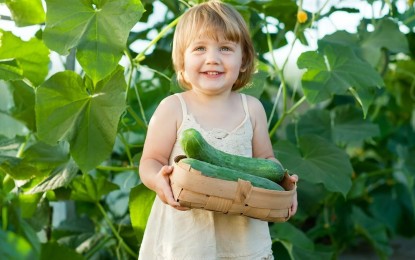 Crianças que Vivem na Cidade: Como Despertar Nelas o Interesse pelas Coisas da Roça