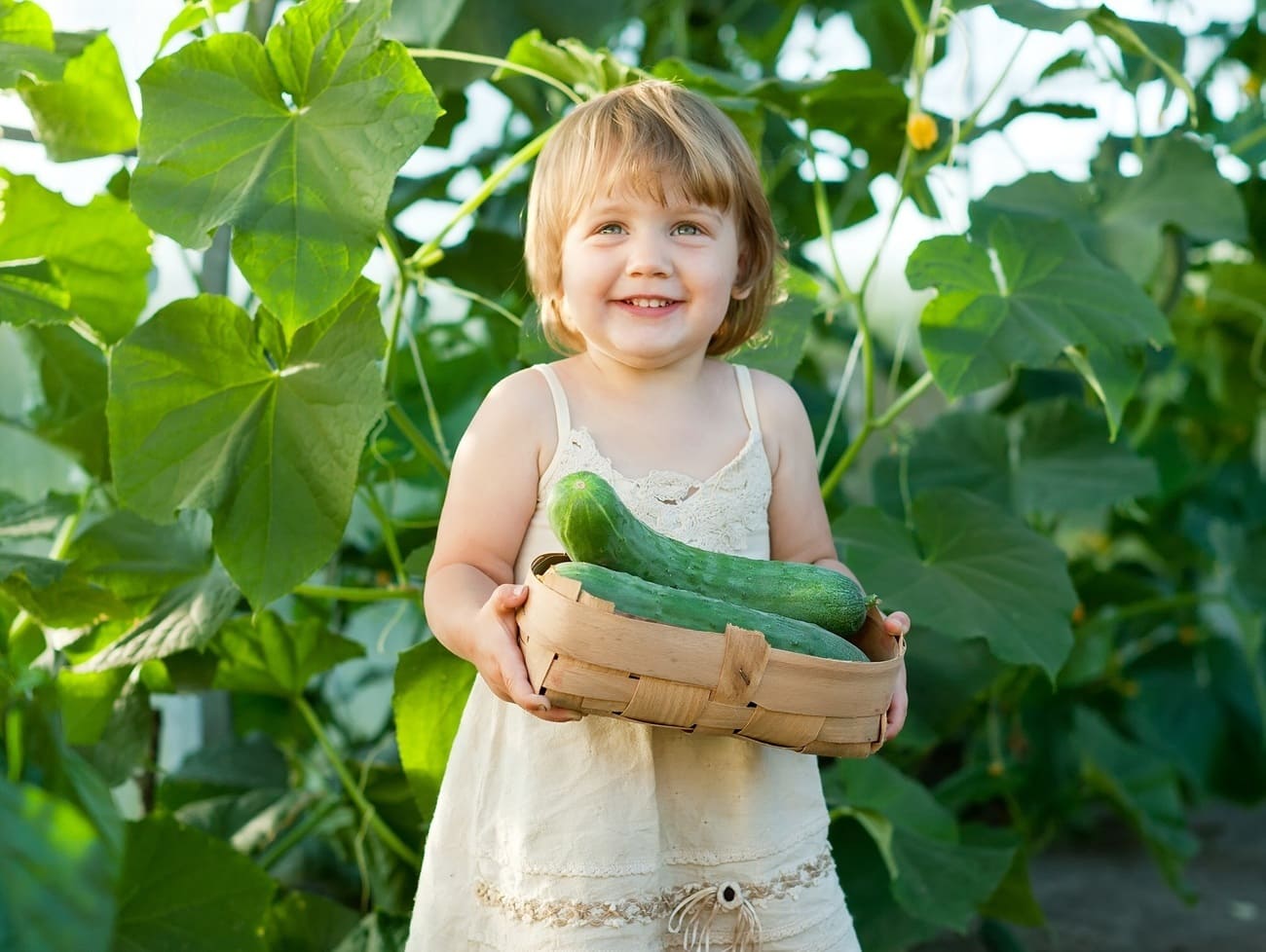 Crianças que Vivem na Cidade: Como Despertar Nelas o Interesse pelas Coisas da Roça