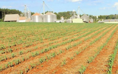 Contratação de crédito rural cresce 12,4% e alcança R$ 92,1 bilhões
