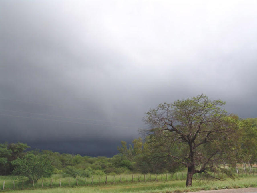 Outono chega com umidade e chuva no Rio Grande do Sul