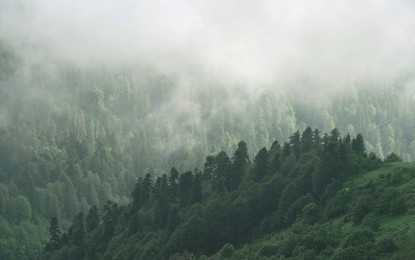 Chegada de massa de ar polar causa queda das temperaturas