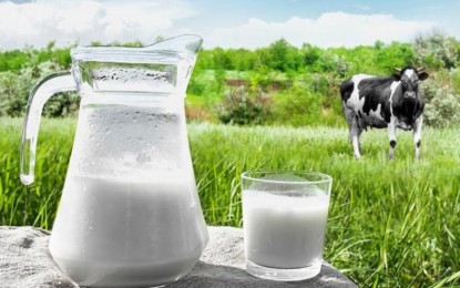 Leite: oferta limitada freia queda de preços em novembro