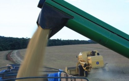 USDA estima em 13% a redução da safra Argentina e altera o quadro de oferta e demanda mundial da soja
