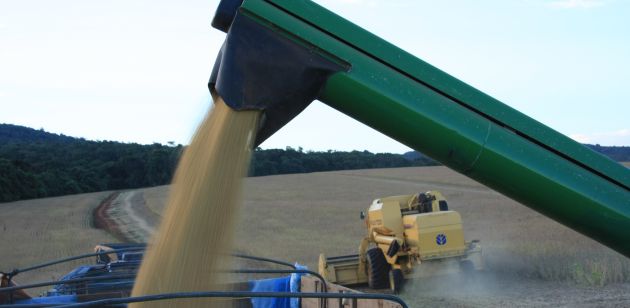 USDA estima em 13% a redução da safra Argentina e altera o quadro de oferta e demanda mundial da soja