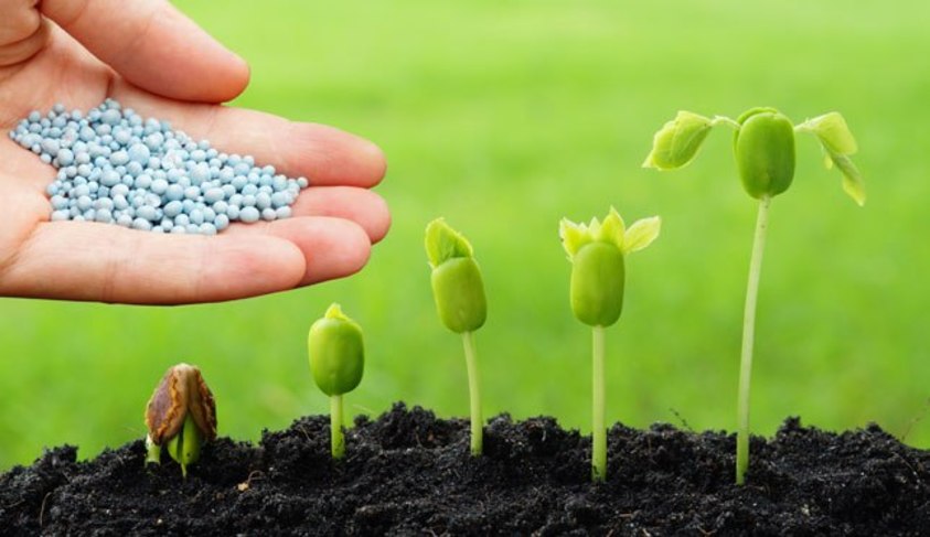 Plano de recuperação e conservação do solo