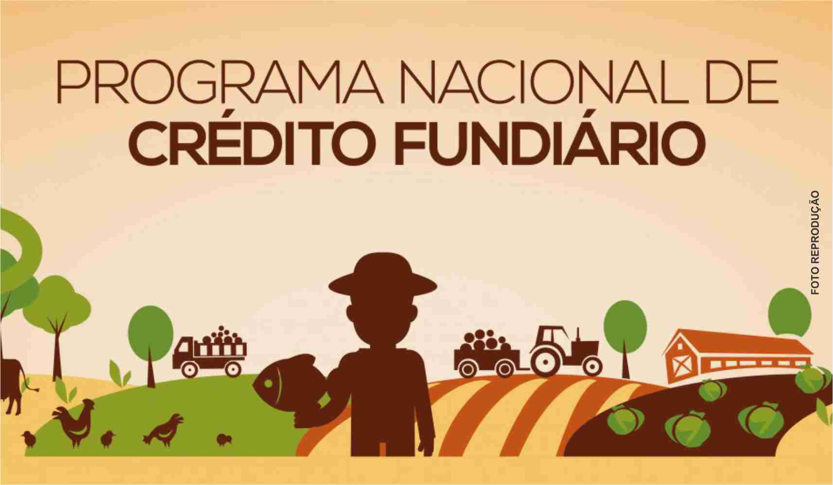 Resultado de imagem para pncf