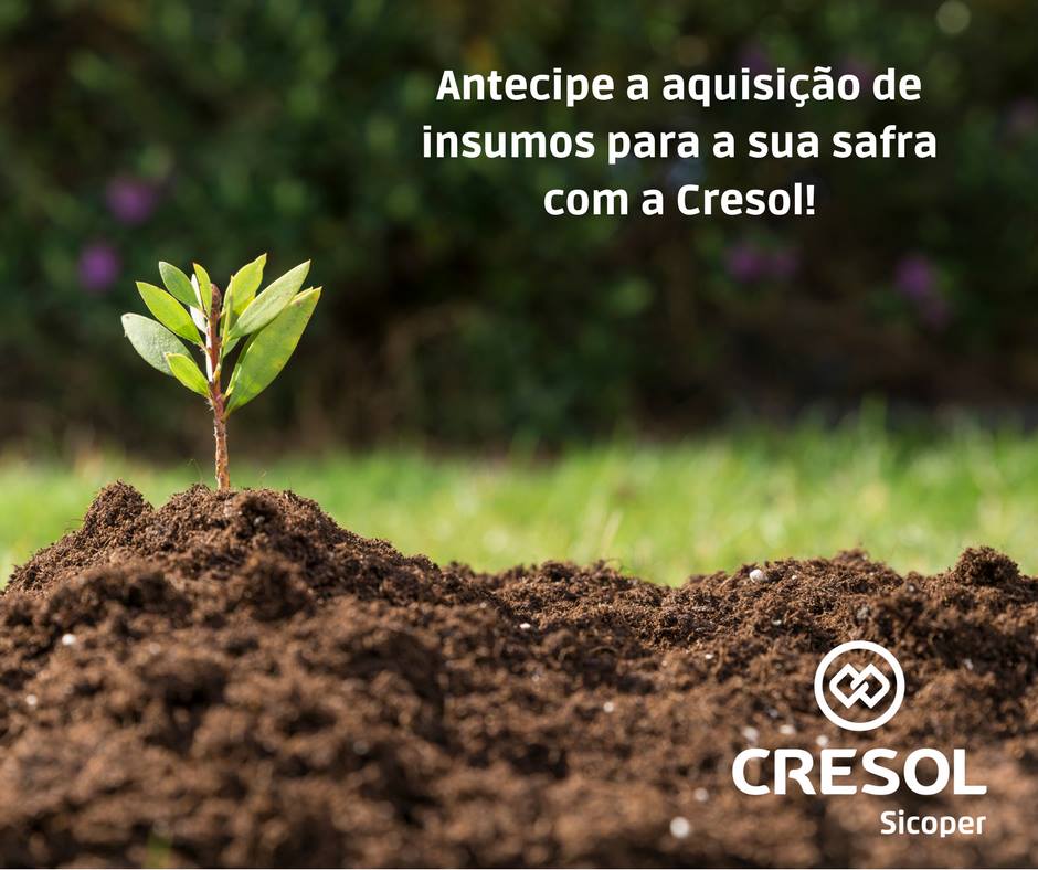 Cresol Oferece linhas de créditos que facilitam ao associado fazer bons negócios.