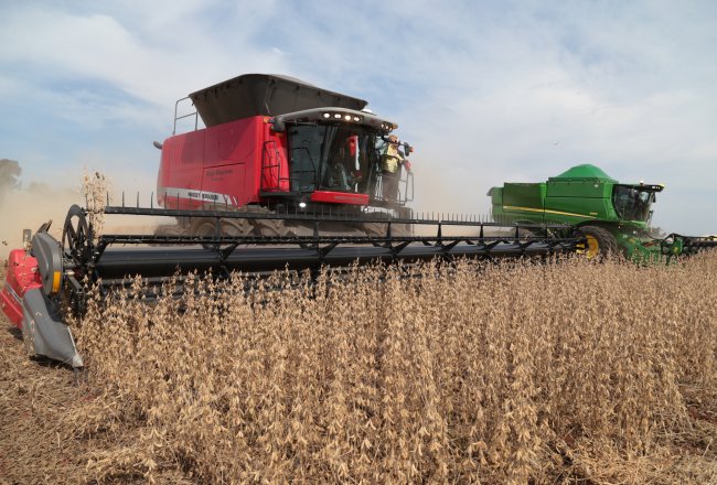 colheita da soja atinge 12,4% no Brasil