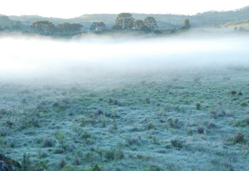 Temperaturas baixas e possibilidade de geadas nos próximos dias