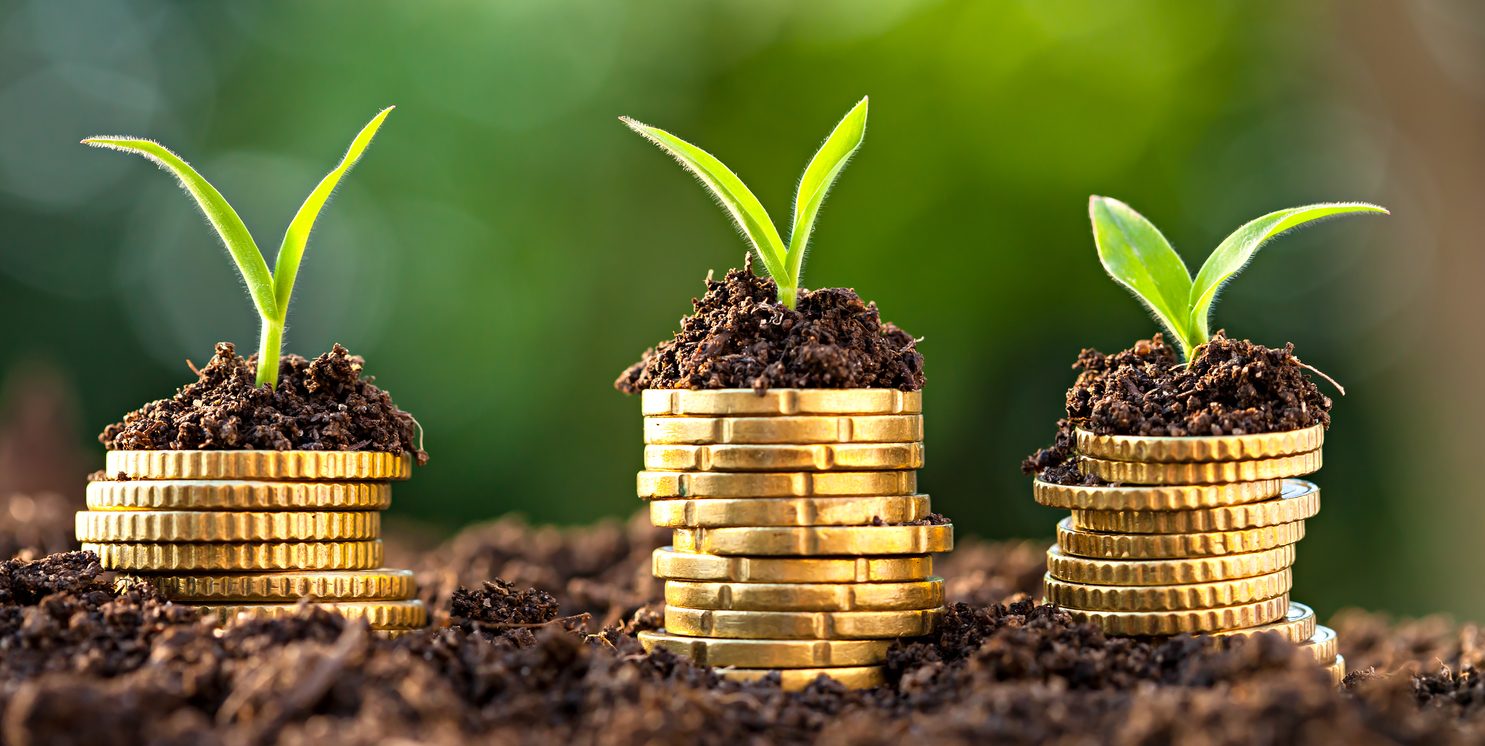 Valor anunciado para o Plano Agrícola e Pecuário é de R$ 194,3 bi