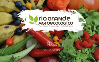 Seminário valoriza e reconhece mulheres na agroecologia durante a Semana do Alimento Orgânico