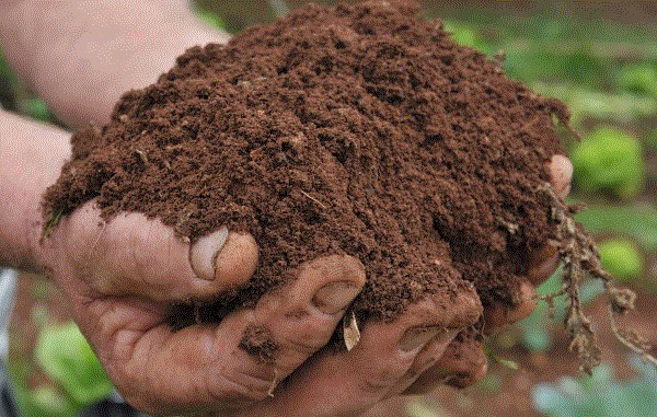 Degradação do solo traz risco à economia do país, alerta pesquisador da Embrapa