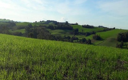 Governo divulga as regras do Programa de Seguro Rural para os próximos três anos