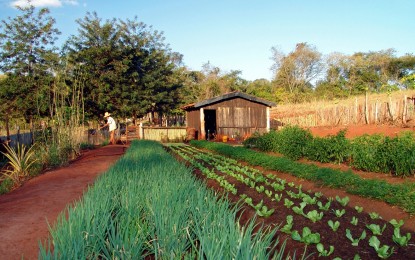 Em Substituição a DAP, Mapa prepara novo Cadastro Nacional para Registro de Agricultores Familiares