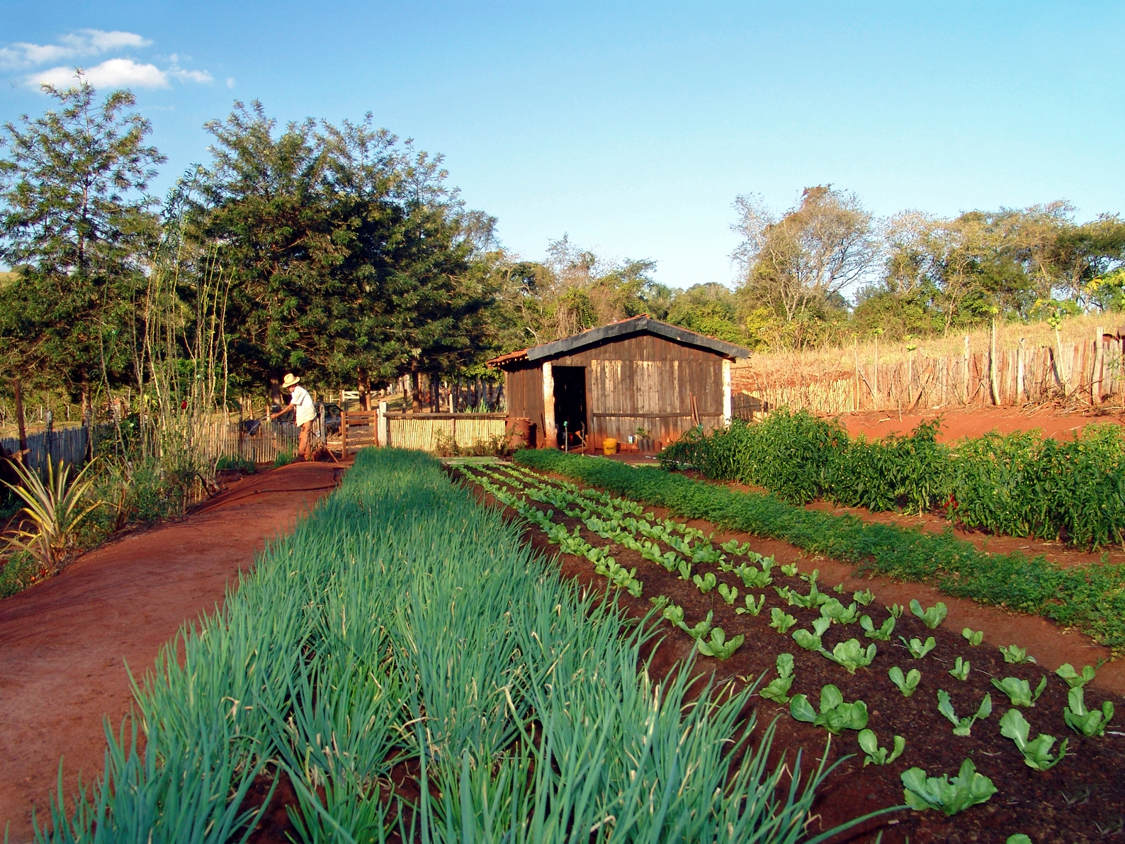 Em Substituição a DAP, Mapa prepara novo Cadastro Nacional para Registro de Agricultores Familiares