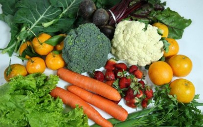 Ministério fixa padrões visuais de qualidade para frutas, legumes e verduras
