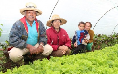 Cresol Sicoper registra liberação histórica em contratações do Plano Safra