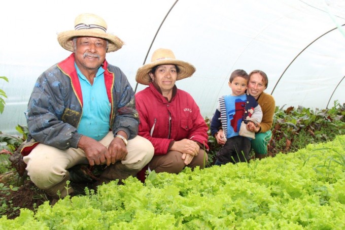 Cresol Sicoper registra liberação histórica em contratações do Plano Safra