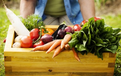 Pesquisa do Mapa mostra que vegetais comercializados no Brasil são seguros para consumo