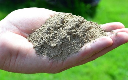 Pesquisa desenvolve fertilizante de baixo custo