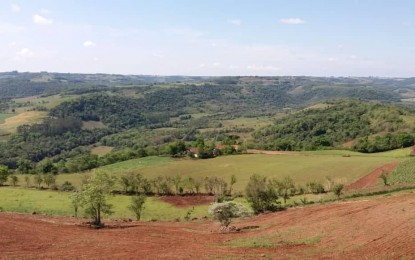 Área de reserva legal em propriedade rural poderá trazer mais beneficio ao produtor