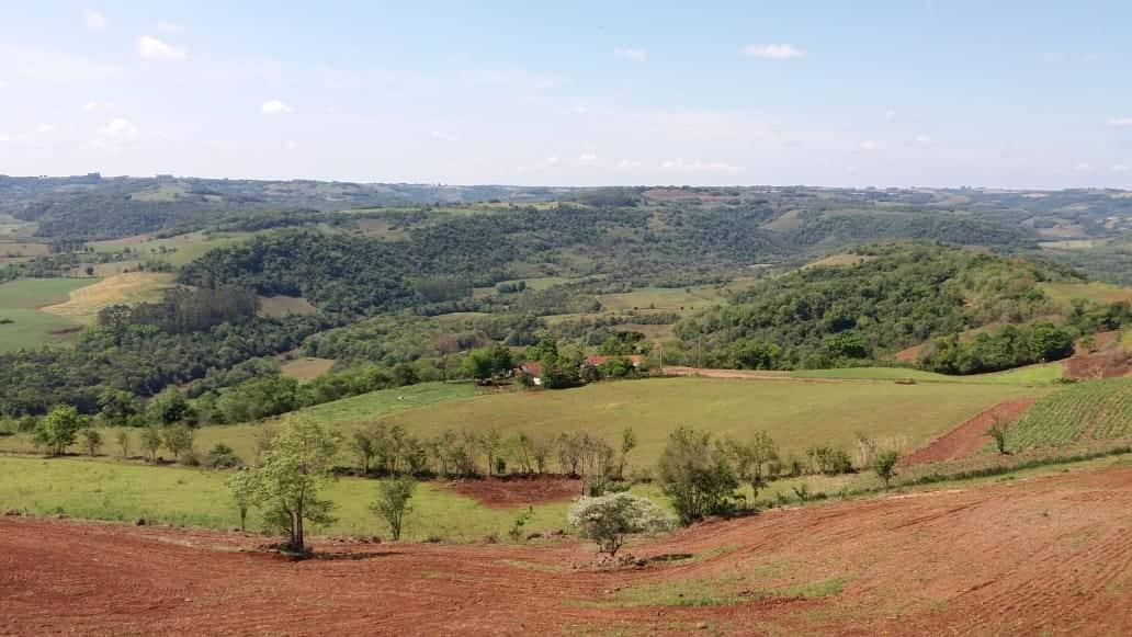 Área de reserva legal em propriedade rural poderá trazer mais beneficio ao produtor