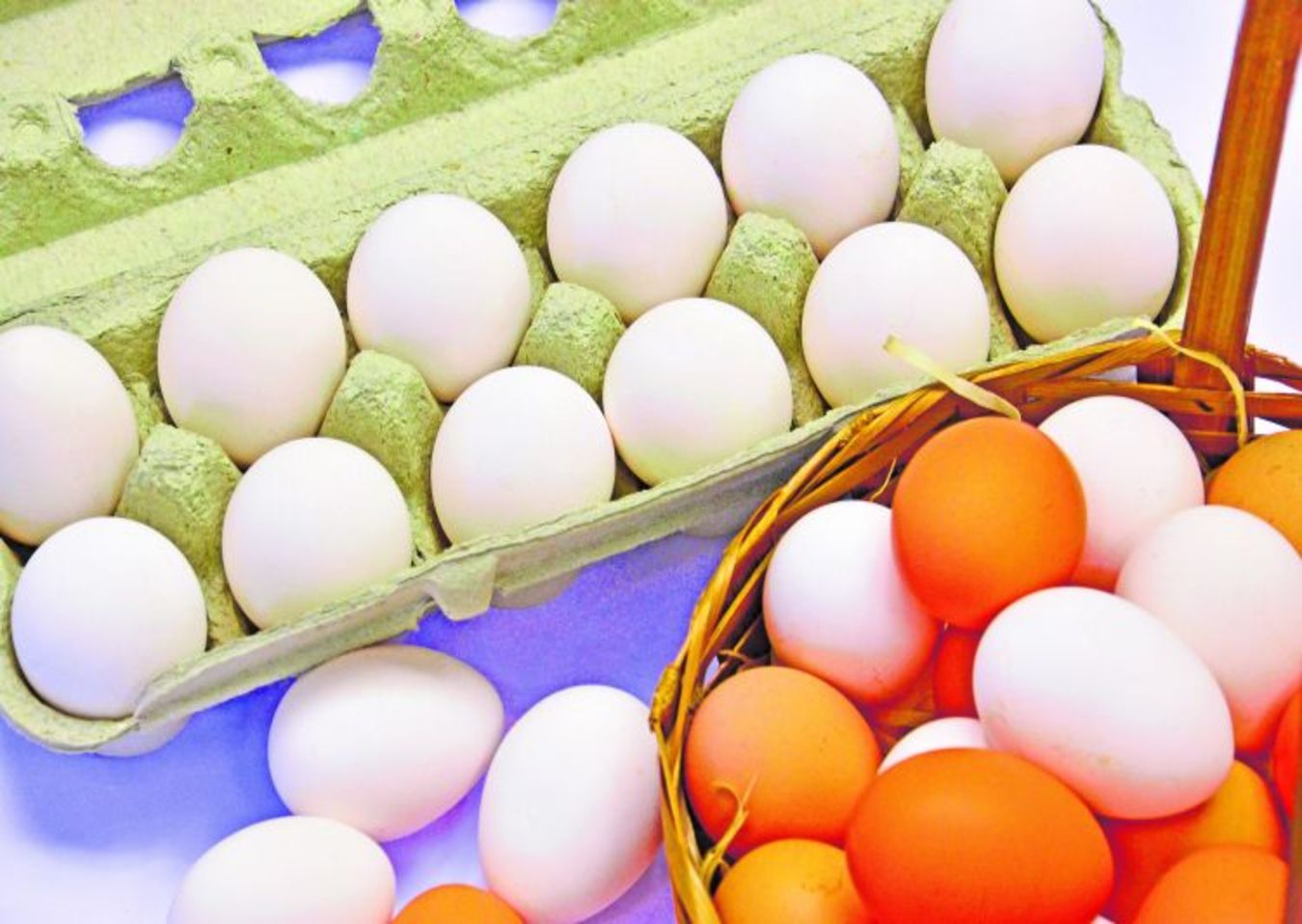 Produção de ovos bate recorde no país