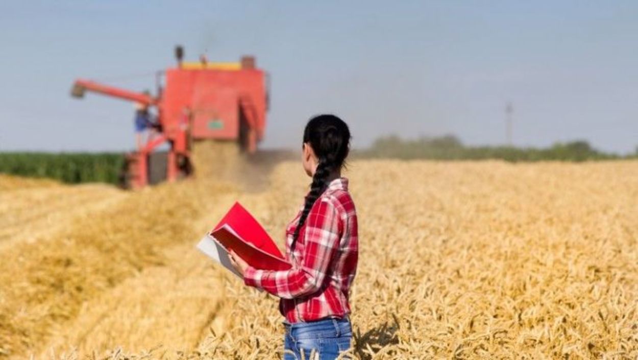 Contratação de crédito agropecuário tem alta de 13%