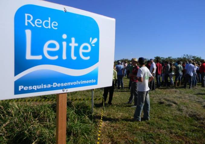 Fórum em Ijuí debaterá 15 anos da Rede Leite