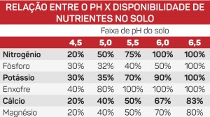 tabela importancia calcario