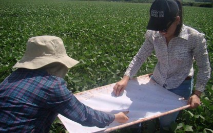 Manejo Integrado de Pragas proporciona economizar na produção de soja