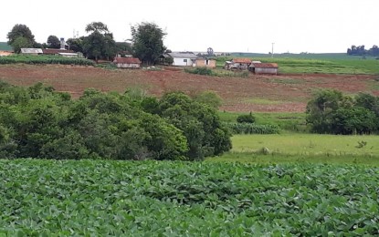 Política agrícola deve dar maior destaque ao seguro rural