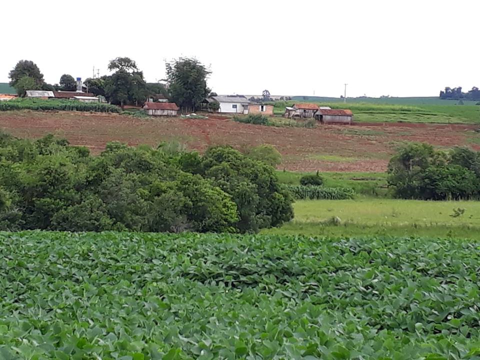 Política agrícola deve dar maior destaque ao seguro rural