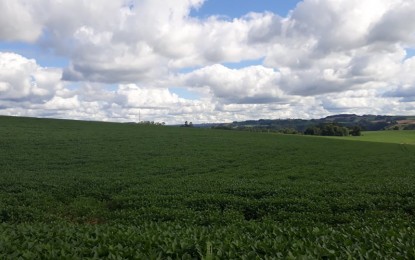 Técnicos agrícolas podem ser prestadores de assistência técnica e extensão rural