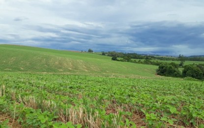 Nutrição do solo: A Base Forte da Agricultura do Futuro