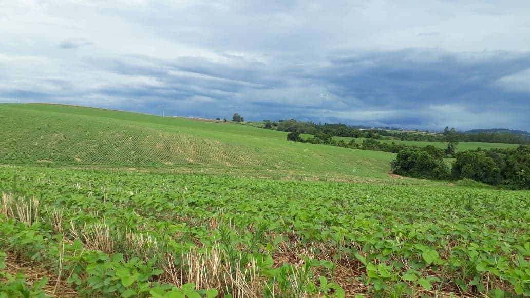 Nutrição do solo: A Base Forte da Agricultura do Futuro