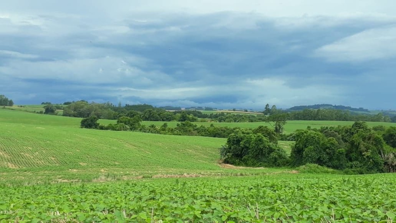 2020 deve terminar com calor e chuva no Rio Grande do Sul