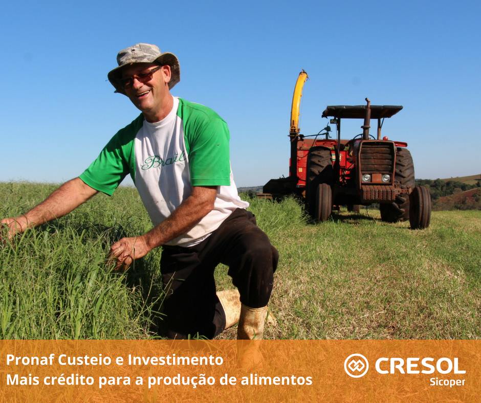 A importância das linhas de Pronaf Custeio e Investimento