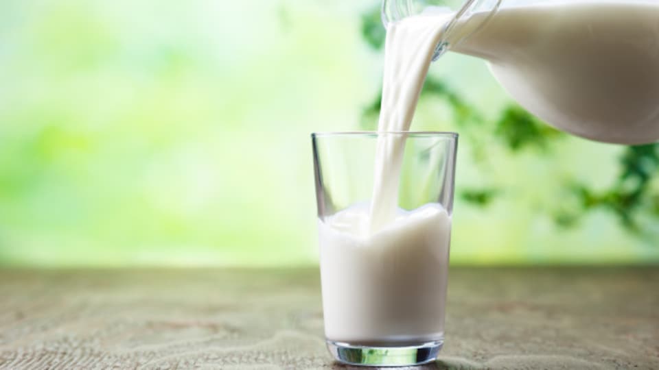 Importações de lácteos cresceram no primeiro bimestre de 2019