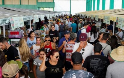 Pavilhão da Agricultura Familiar na Expodireto supera R$ 1 milhão em vendas