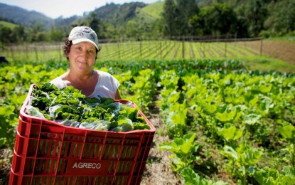 Cooperativas são importantes para mulheres do campo