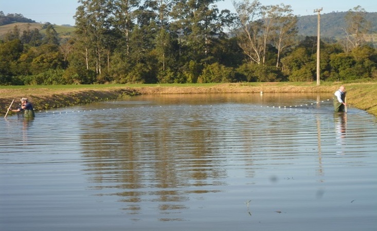 Semana Santa deve comercializar mais de 4 mil toneladas de peixe no RS