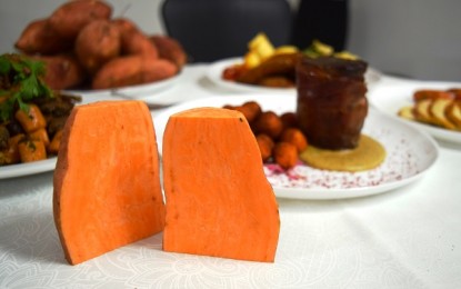Batata-doce biofortificada tem boa aceitação como ingrediente para restaurante