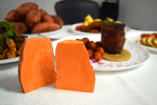 Batata-doce biofortificada tem boa aceitação como ingrediente para restaurante